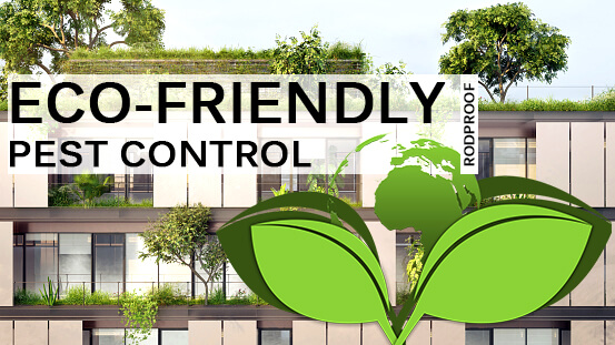 Eco Friendly Pest Control Header Image Rodproof 